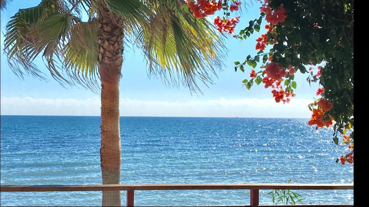 Mi Capricho A17 Beachfront Apartment 라칼라데미야스 외부 사진